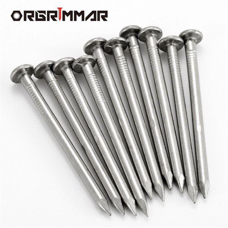 Common Nails Stainless Steel