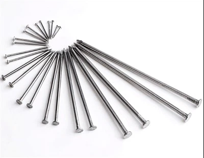 Stainless Steel Common Nails Ring Shank Roofing Nails 316 304 Stainless Steel Nails